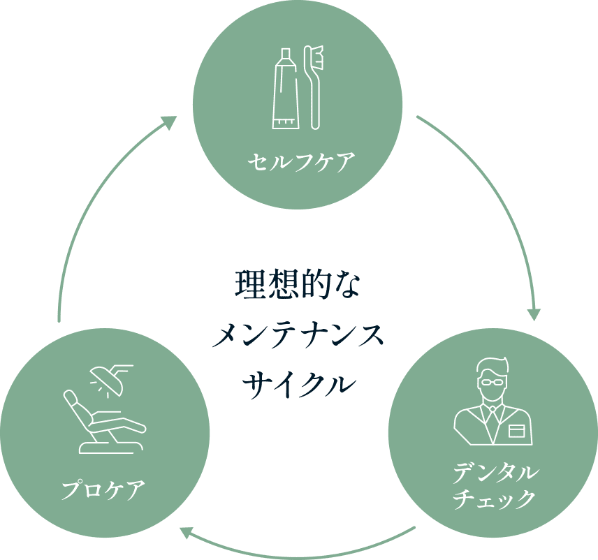 Oral Health Care Program メンテナンス習慣をつくる定期管理予防プログラム